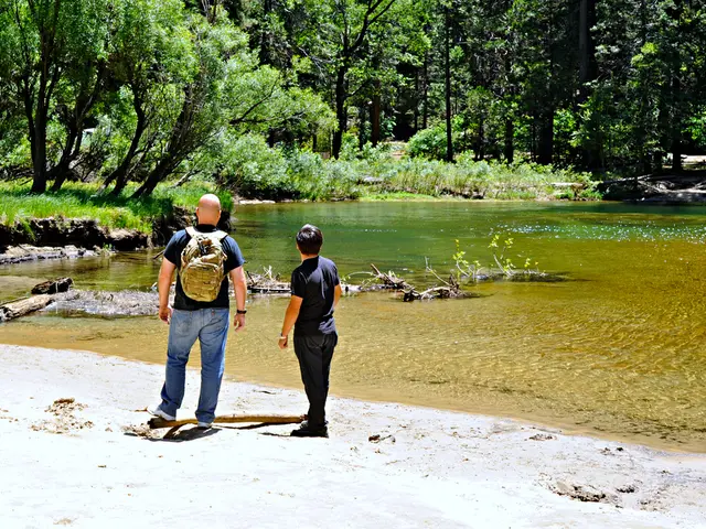 Financial conglomerate FB Financial is set to purchase Southern States for a sum of $381 million.