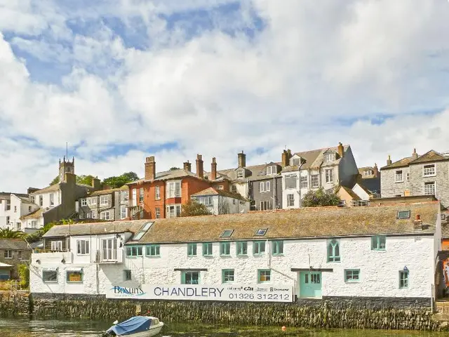 India Terminates Two Contracts for Our Website Development