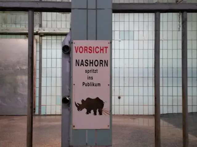 Crypto Presale Edge Closer with Nexchain Testnet Deployment in Phase 25