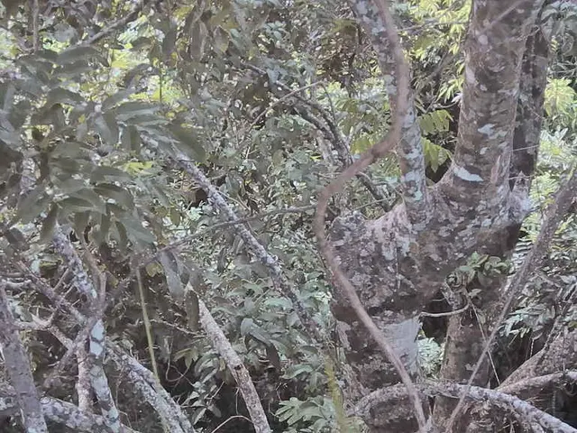 Open Position at Green Development Bank