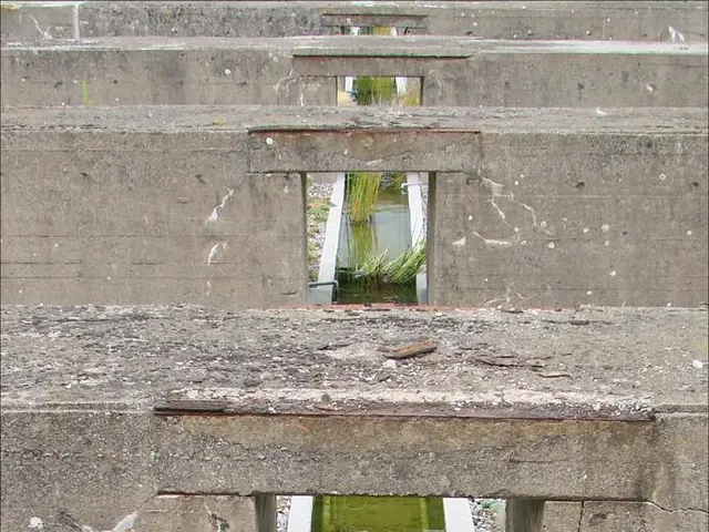 Condor Reveals Q2 Results for 2025 and Secures a $5 Million Bridge Loan