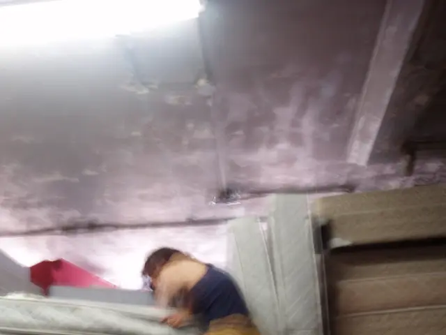 Conflict resolved between Purple and activist investor Coliseum Capital Management