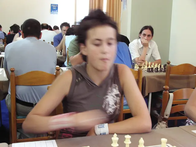 European Union's Supreme Court, The Court of Justice of the European Communities