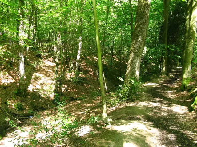 Subaru Collaborates with Arbor Day Foundation for Environmental Conservation Efforts