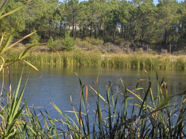 LPFA Considers Injecting 5% of Its Holdings into Climate-Focused Ventures