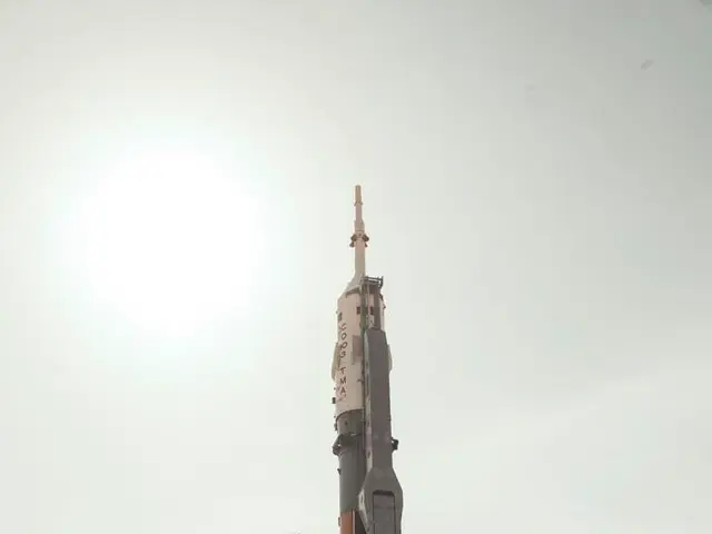 Developing a flourishing tech startup, over 90% of my workforce lack coding abilities.