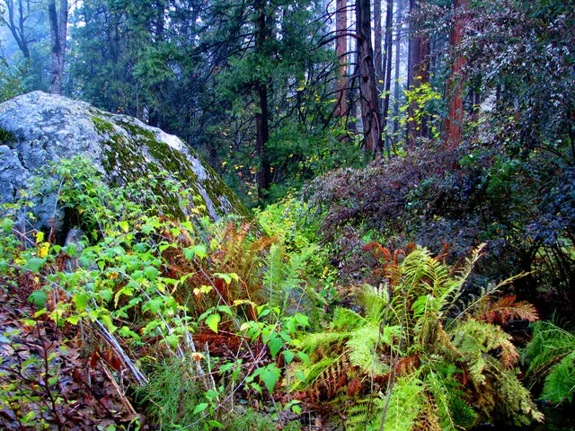 Church transportation anticipated to avoid subsumption by three-mile-deep mine excavation in Sweden