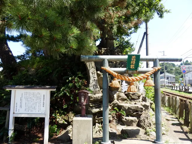 Foreign Businesses Seize Opportunities Amid China's Progression Towards a Green, Low-Emission...