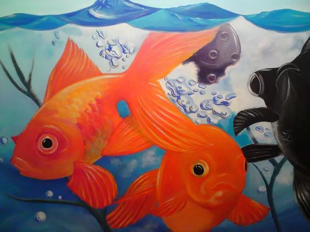 "Dream Fish" Discussion Forum for Putin's Student Groups Set to Occur in Kamchatka (Russia)