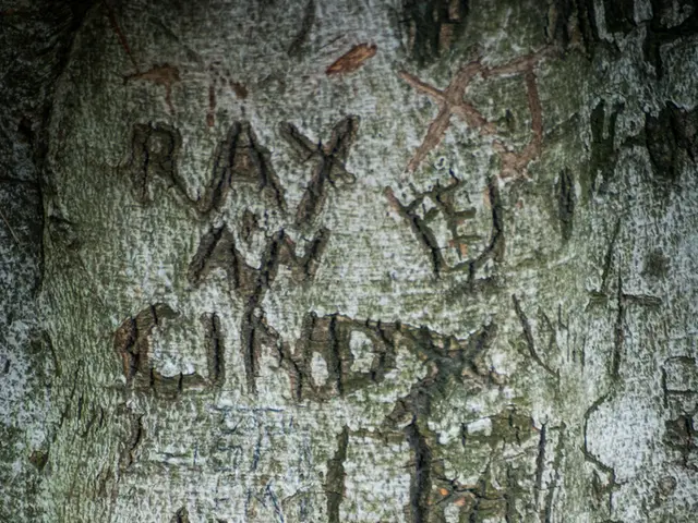 Unsafe Loading at Polish-Hungarian Border: Three Large Silos Rolling off a Moving Truck's Cargo...