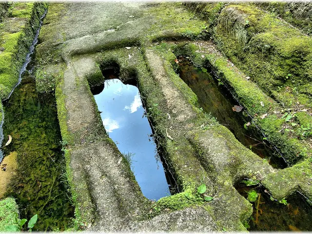 Energy Awareness Campaign Begins by Energy NL – Focus on Green Hydrogen