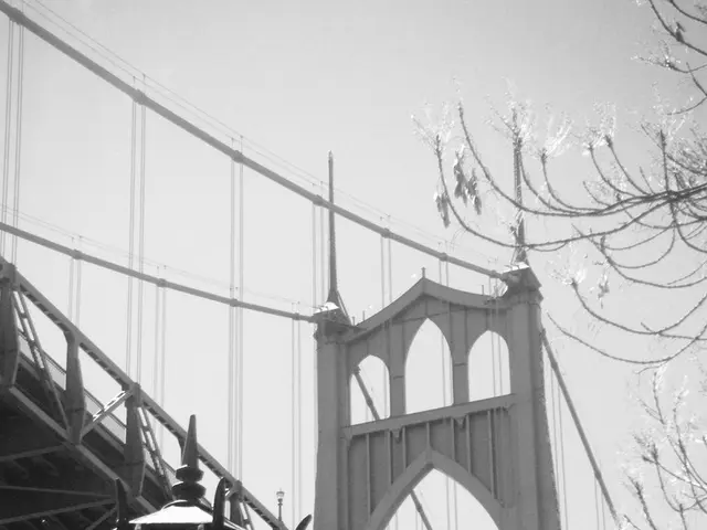 Following the bridge's collapse, Dresden unveils its terrace area