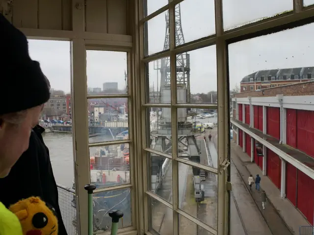 CEO Duties versus Other Senior Positions: An Overview