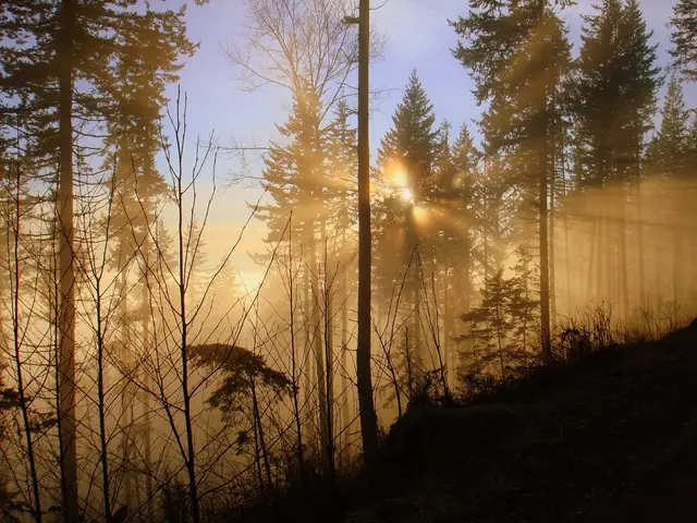 Reduced Carbon Footprint: SolarTainer Slashes Carbon Emissions for Remote Locations by an...