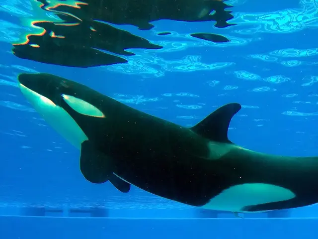 Decrease in Bitcoin Holder Quantity to 3.52 Million Bitcoin Units - Insights