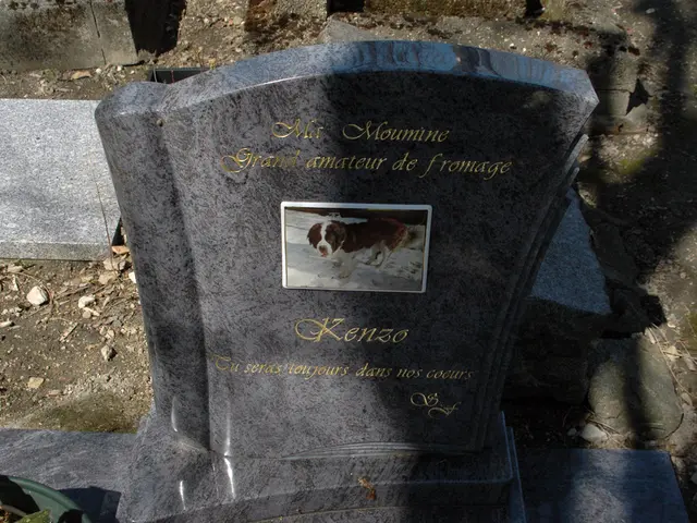 Financial distress confronts Sharon Osbourne amid her bereavement over Ozzy's demise, reveals...