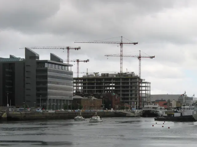 Dolphin Found in Baysug River Successfully Freed into the Black Sea