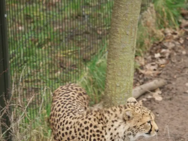 Federal government proposes $50,000 severance packages for SEC workers due to job cuts in...