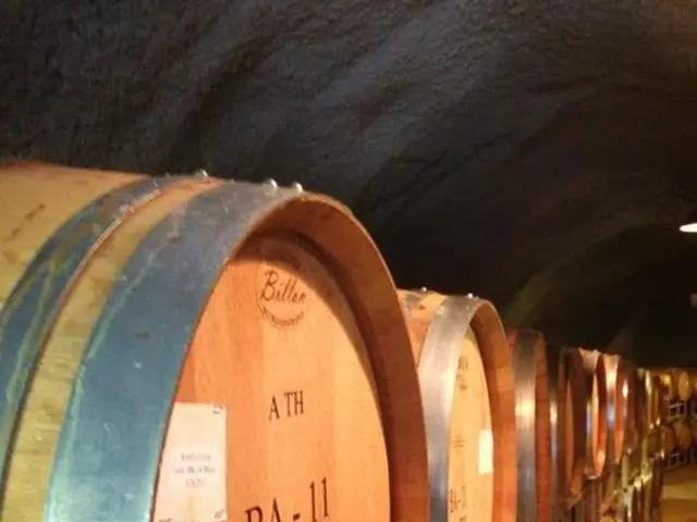 Shell continues dialogue with Border to Coast Pensions Partnership following claimed inadequate...