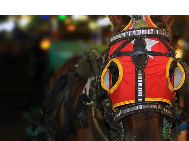 Professional basketball player Luka Doncic has reportedly purchased the $25 million beachfront...