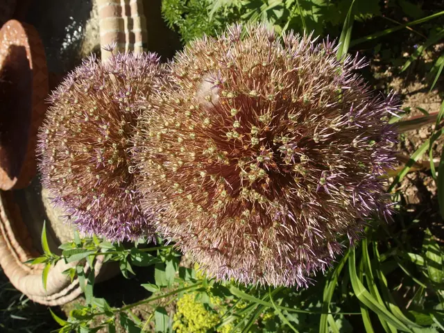 Emergency Financial Reserve: Understanding Its Nature and Importance for Your Wallet