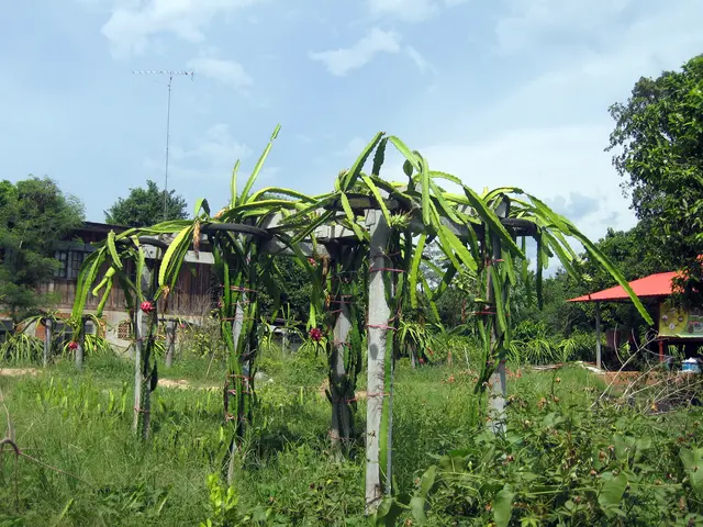 Rich countries' bilateral loan proposals are snubbed by the Philippines and Malaysia, with both...