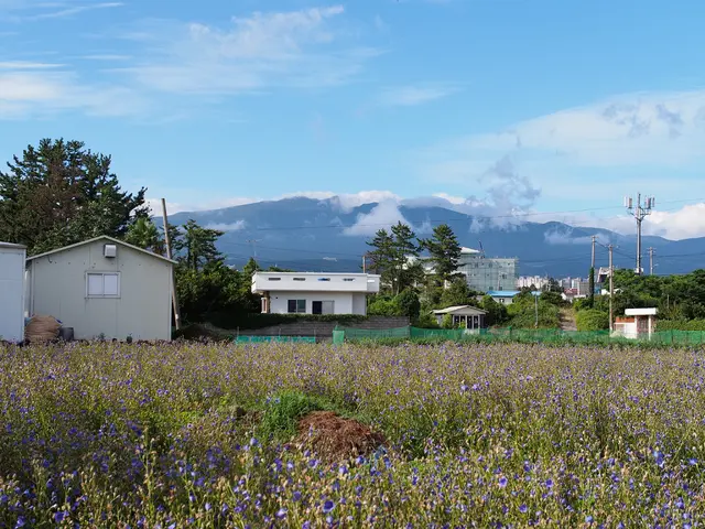 Bill accelerates interconnection process for dispatchable power sources