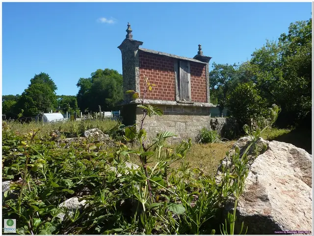 In the center of the image we can see the...