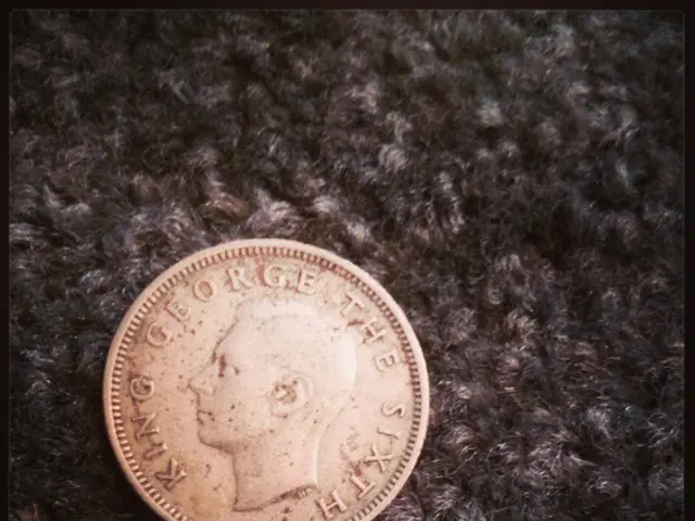 In the image there is a coin with the print of a king on it.