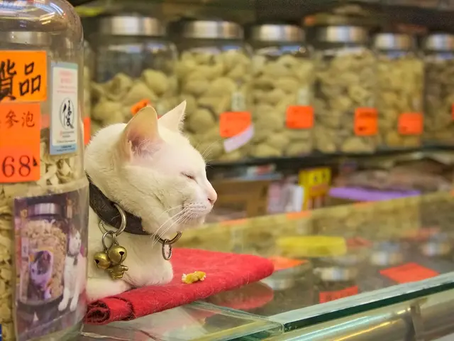 On the left side of the image we can see we can see a jar in which some food item is there and some...