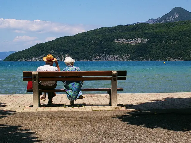 In this picture two people are sitting in a desk ,in front of them there is a beautiful scenic...