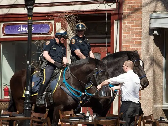 In this picture we can see two people sitting on the horse and around there are some chairs and a...