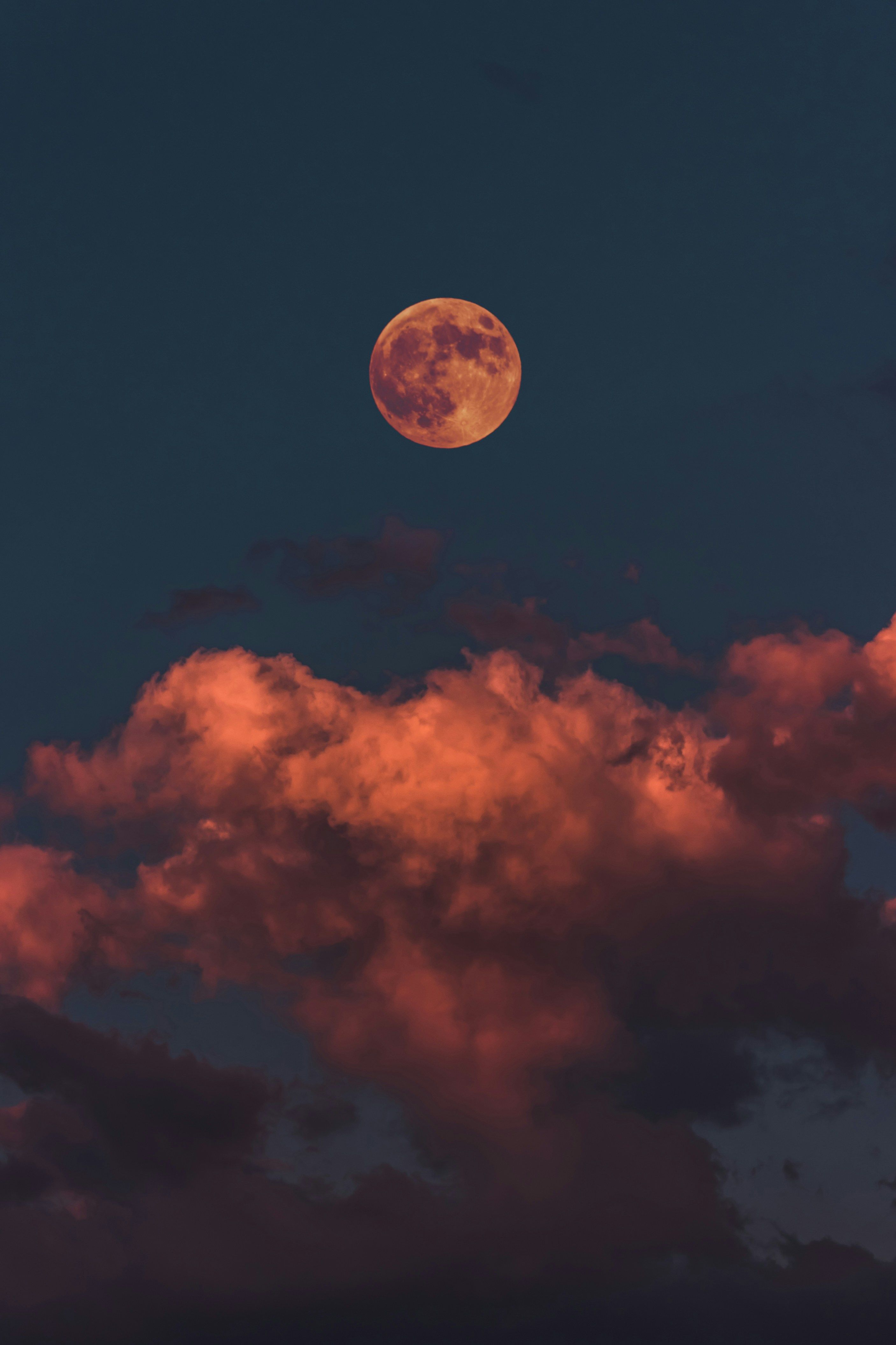 Amidst the financial havoc created by President Trump's tariff implementations, digital asset investment company NYDIG perceives Bitcoin (BTC) as a secure refuge for investments.