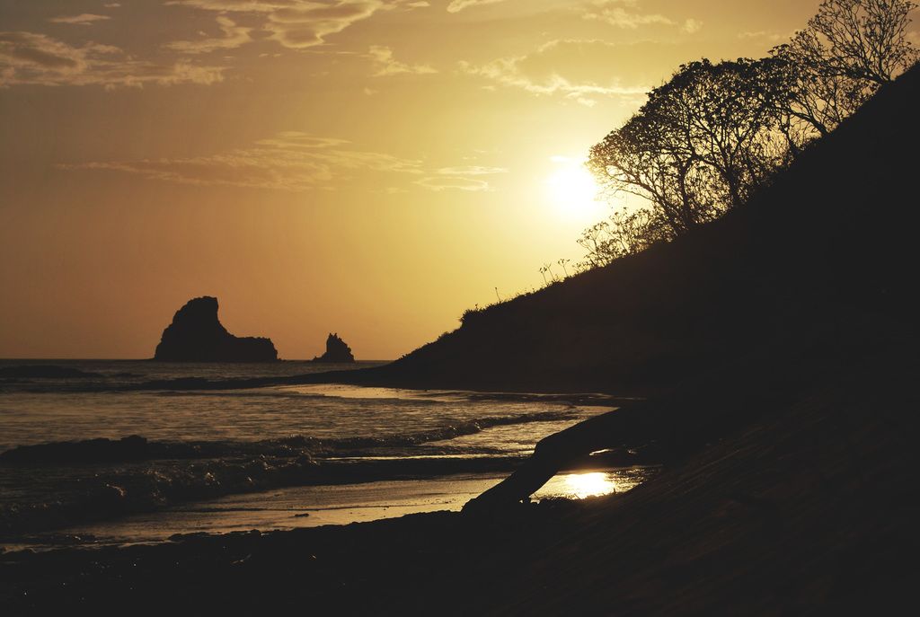 Uncovering these systems can lead to substantial savings