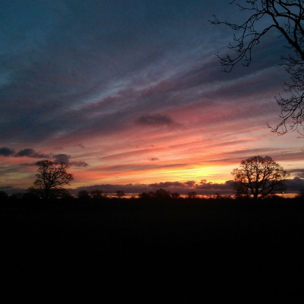 Photograph captures extreme political rally with distinctive placards and rows of passionate protesters