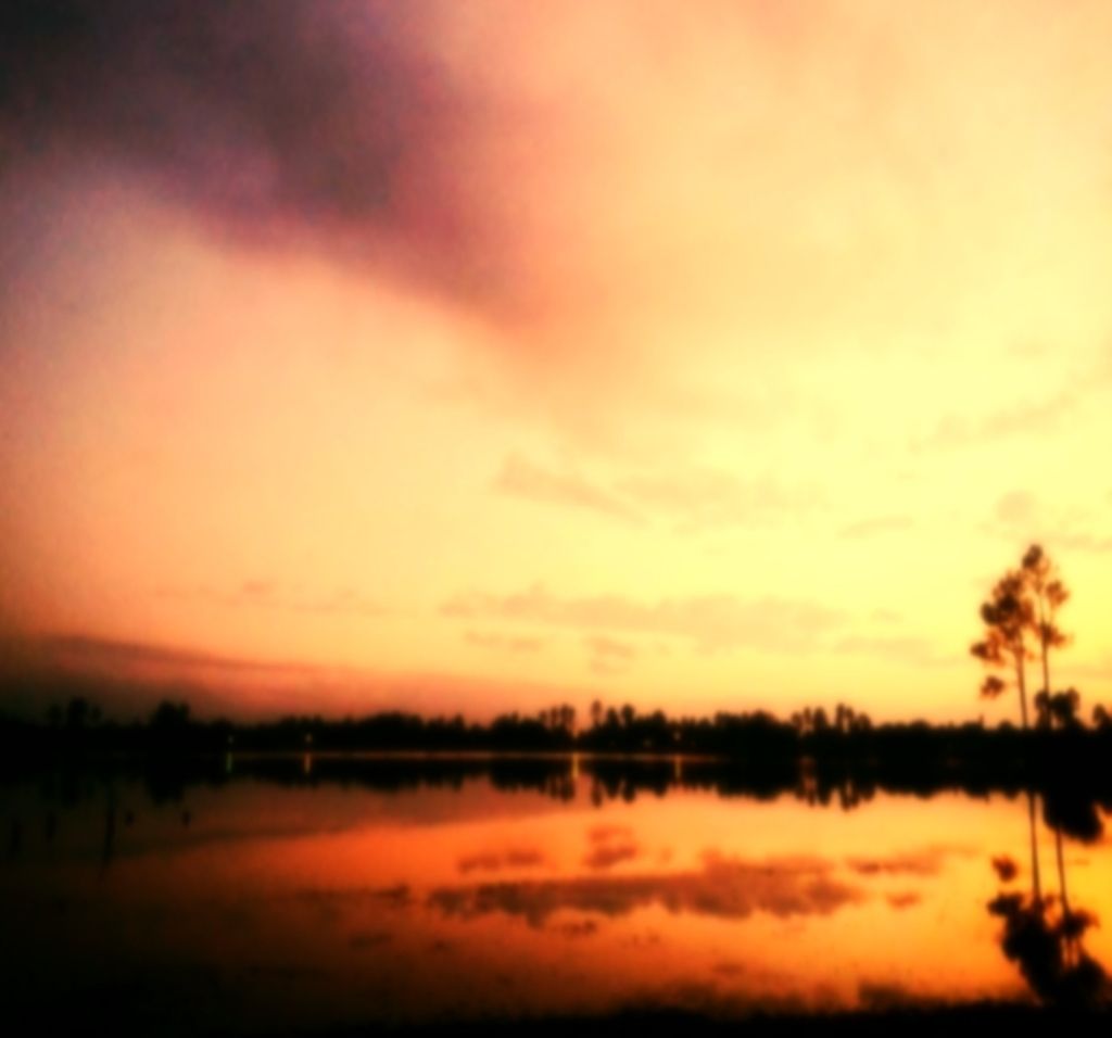 Anticipated Margins Reduction for FY26 at Jana Small Finance Bank, Despite Deposit Rate Cuts; MD &...